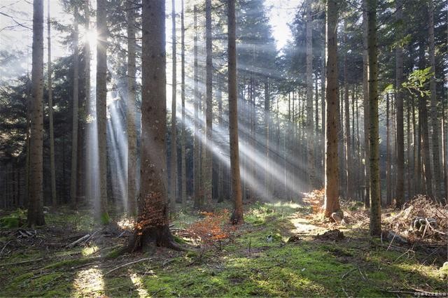 什么是負折射率？何為負折射率？