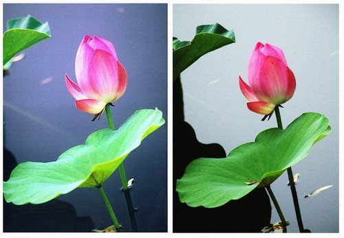 濾光片 攝影知識普及如何用好濾光鏡