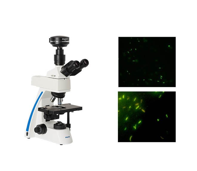 熒光顯微鏡光學(xué)鏡片分析 熒光顯微鏡光學(xué)鏡片分析