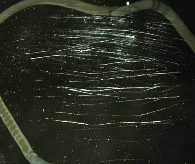 如何去掉透明有機玻璃制品的細小劃痕？