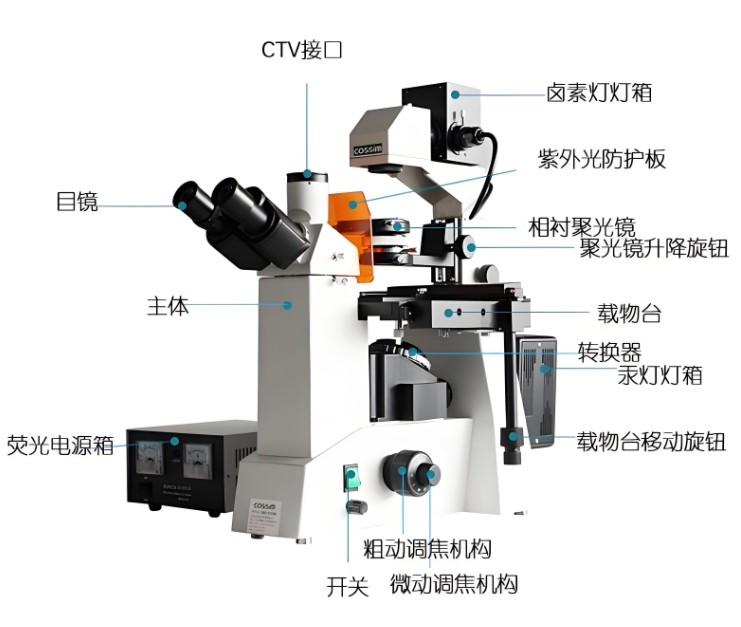 倒置熒光顯微鏡組成 倒置熒光顯微鏡組成
