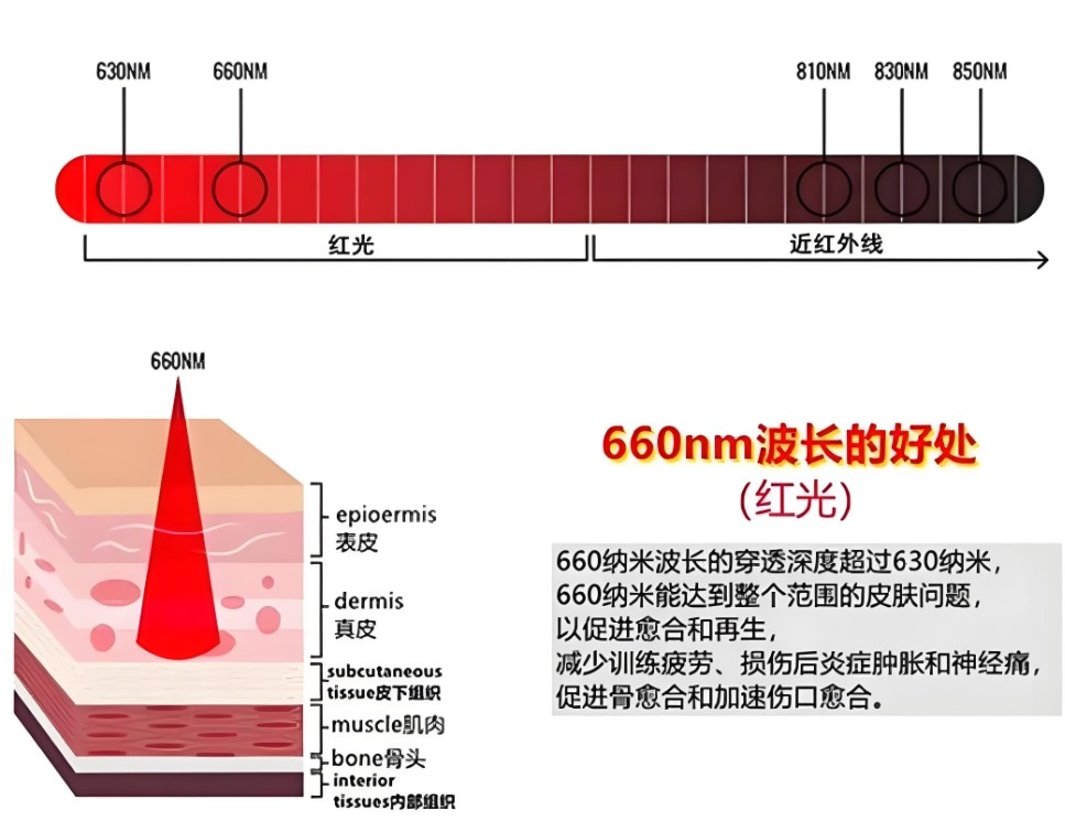 濾光片 660nm對(duì)人體皮膚的作用