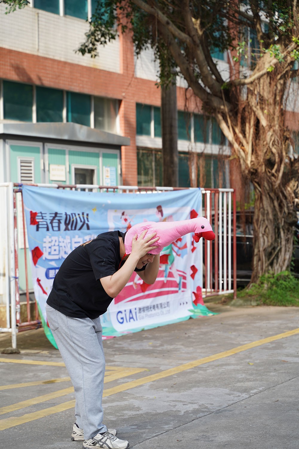 趣味活動(dòng)套大鵝1