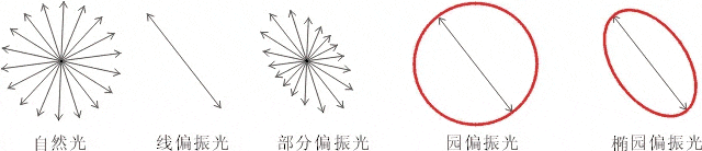 什么是偏振光？偏振光是如何完成檢測的？