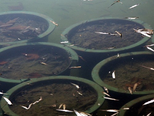 濾光片 偏振鏡光學(xué)原理