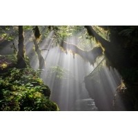 光的干涉、衍射、折射、反射、散射